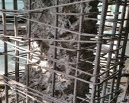 好色先生免费下载公司哪家強